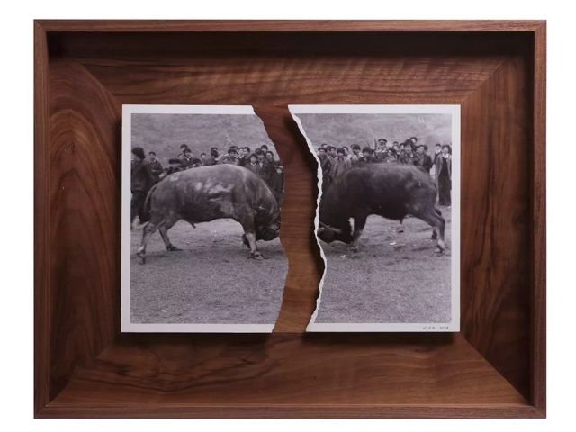 Cai Dongdong, Bullfighting, 2018; Installation, photography, silver gelatin print, 59×46.5cm.jpg