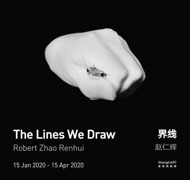 Poster of Zhao Renhui The Lines We Draw.jpg