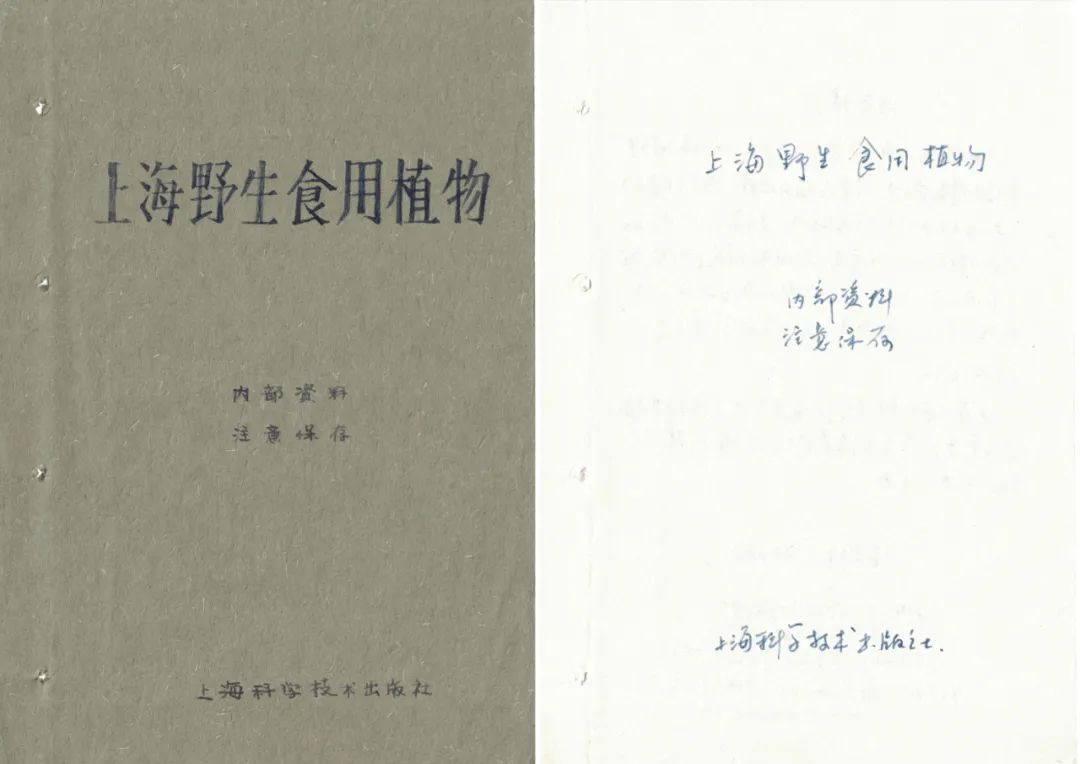 Zheng Bo, Survival Manual I (Hand-Copied 1961 %22Shanghai’s Wild Edible Plants%22)，2015－1.jpg