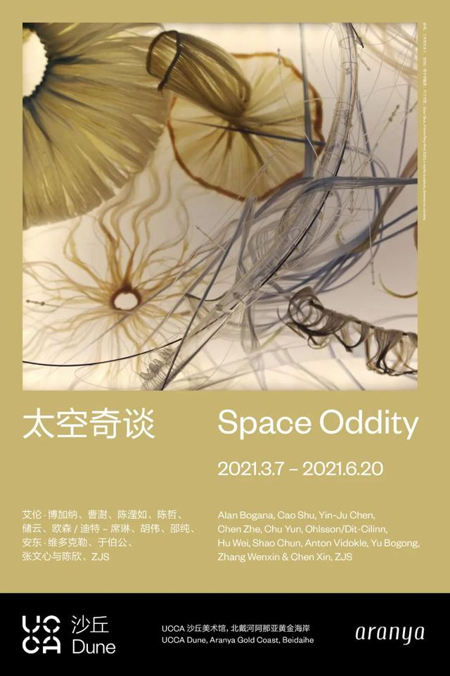 Poster of Space Oddity.jpeg