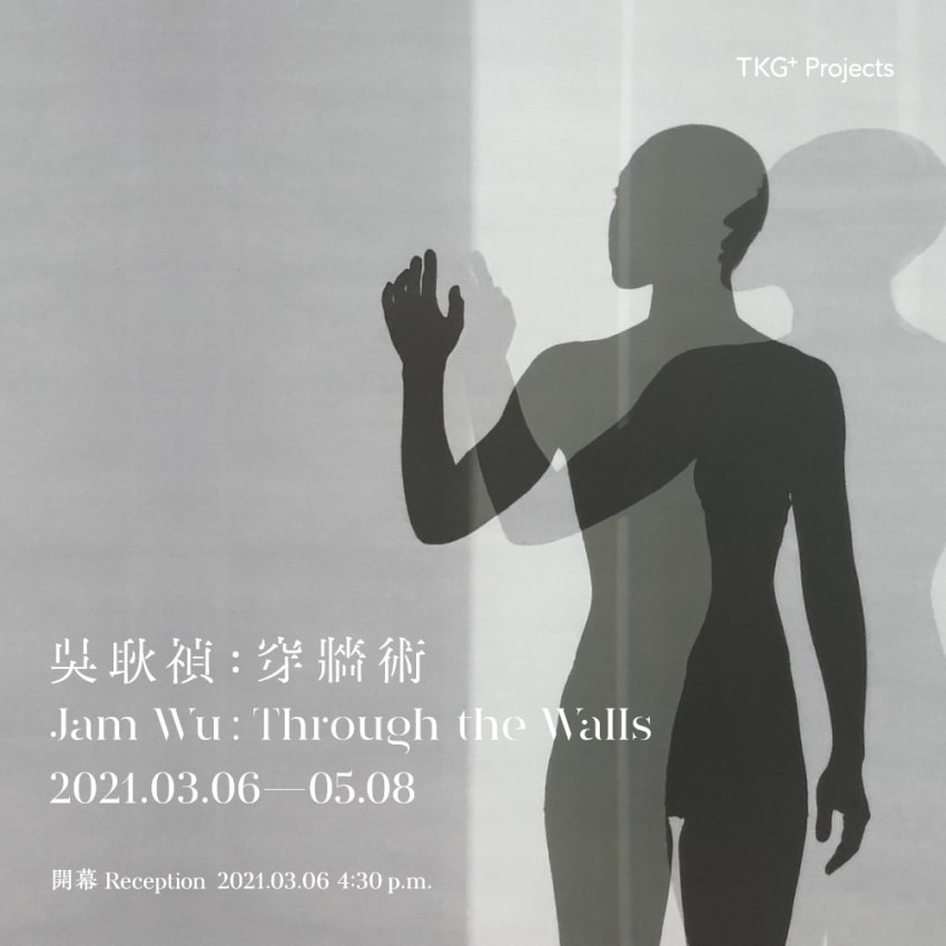 Poster of Through the Walls.jpg