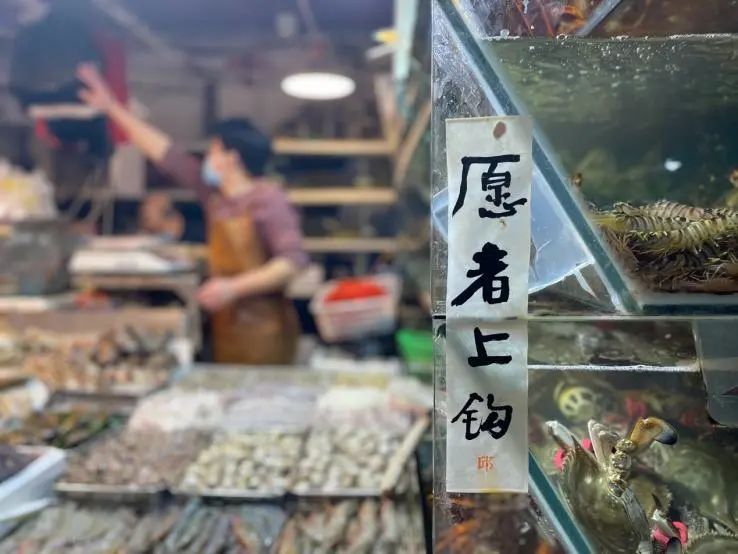 06 Exhibition View of “For People, Food is the First Necessity Qiu Zhijie’s Writing in a Market”.jpg