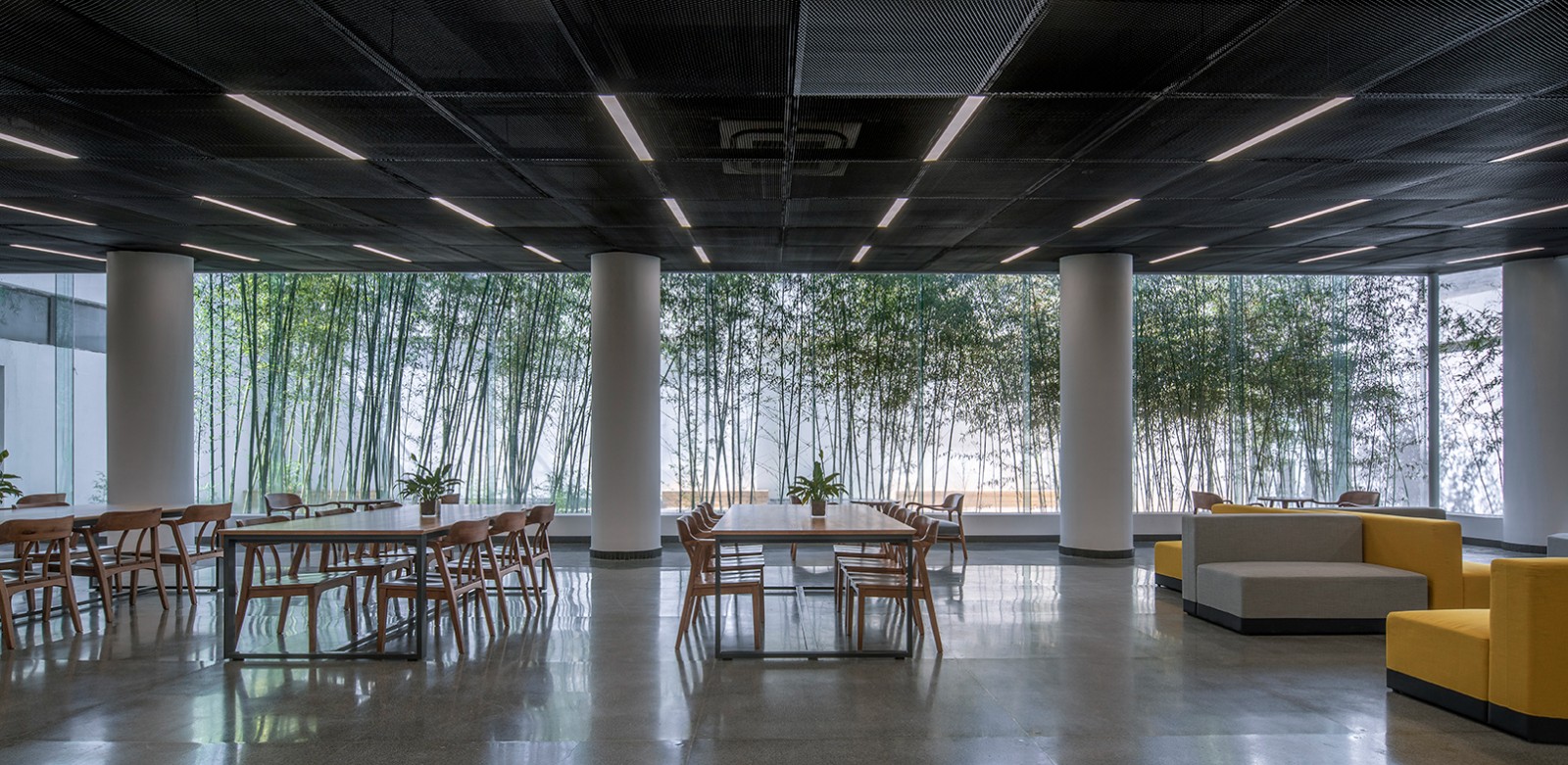 25从流通阅览室可以看到庭院景观  Courtyard landscape viewed from the circulation reading room.jpg