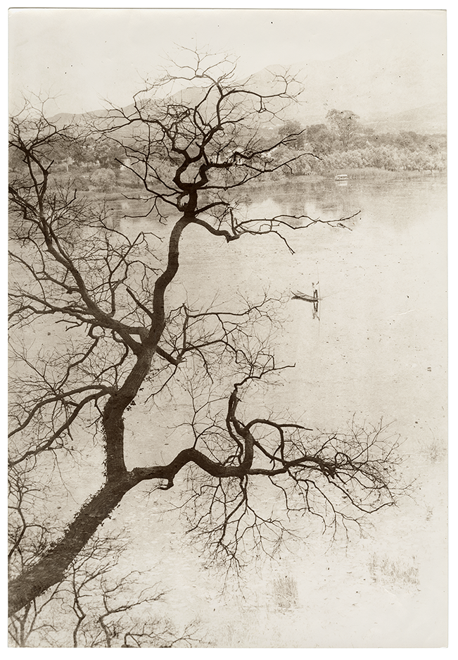 Lang Jingshan “Shadow of Trees and Lake”, 1940s, 39x26.5cm.png