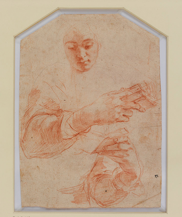 Polidoro da CaravaggioStudies of a youth holding a book_954418001.jpg