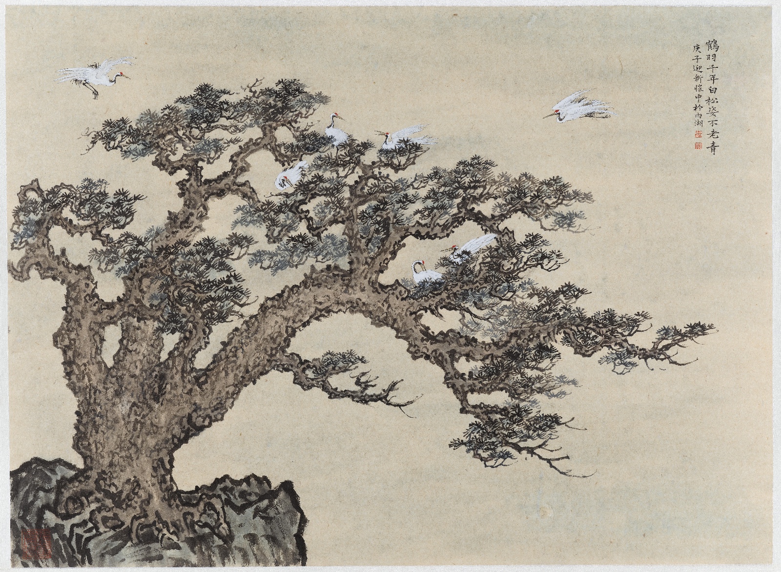 王恺中 群鹤舞苍松66x91cm.jpg