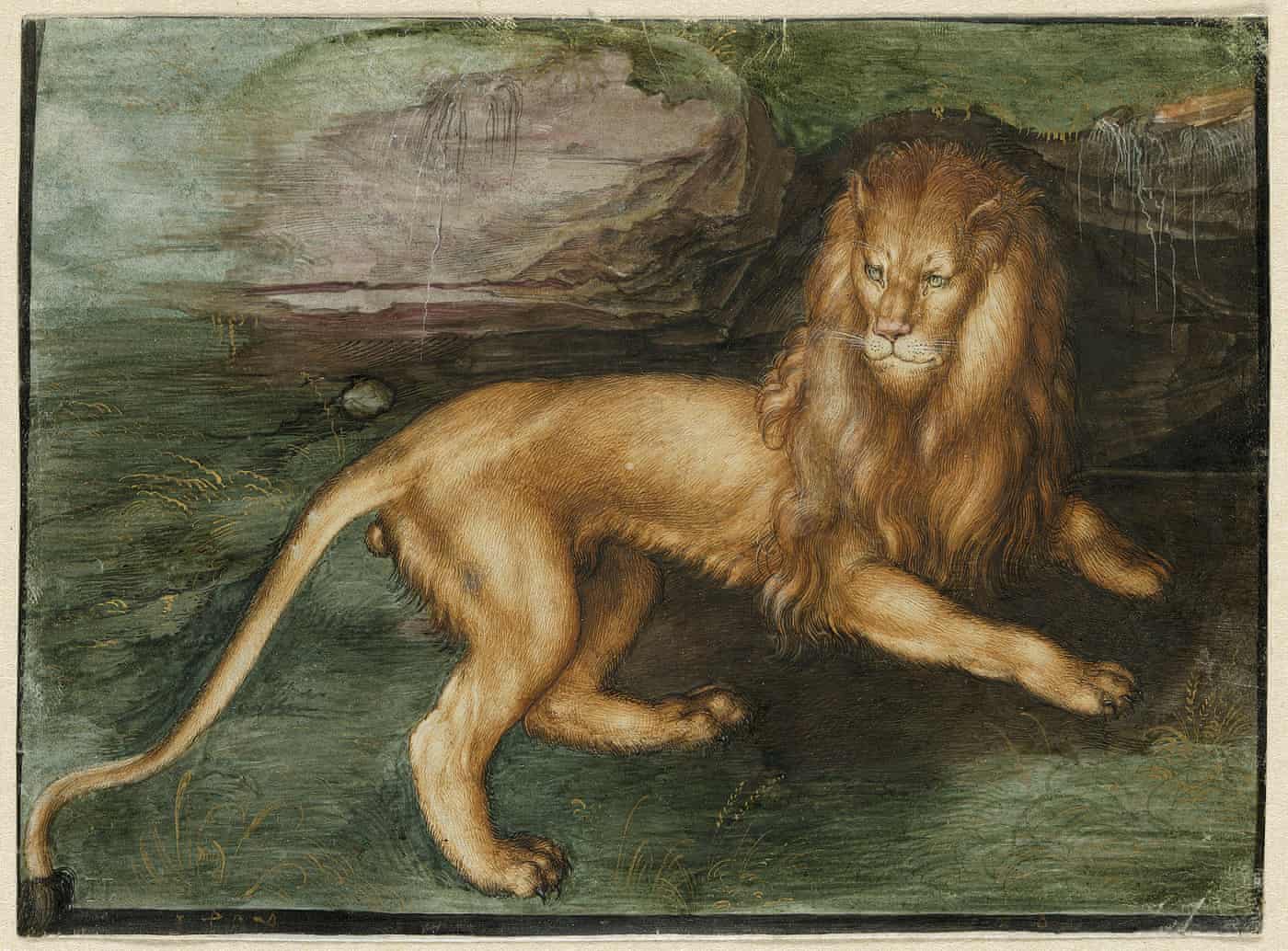 A Lion, 1494 by Albrecht Dürer. Photograph © Photo Scala, Florencebpk, Bildagentur für Kunst, Kultur und Geschichte, Berlin.jpg