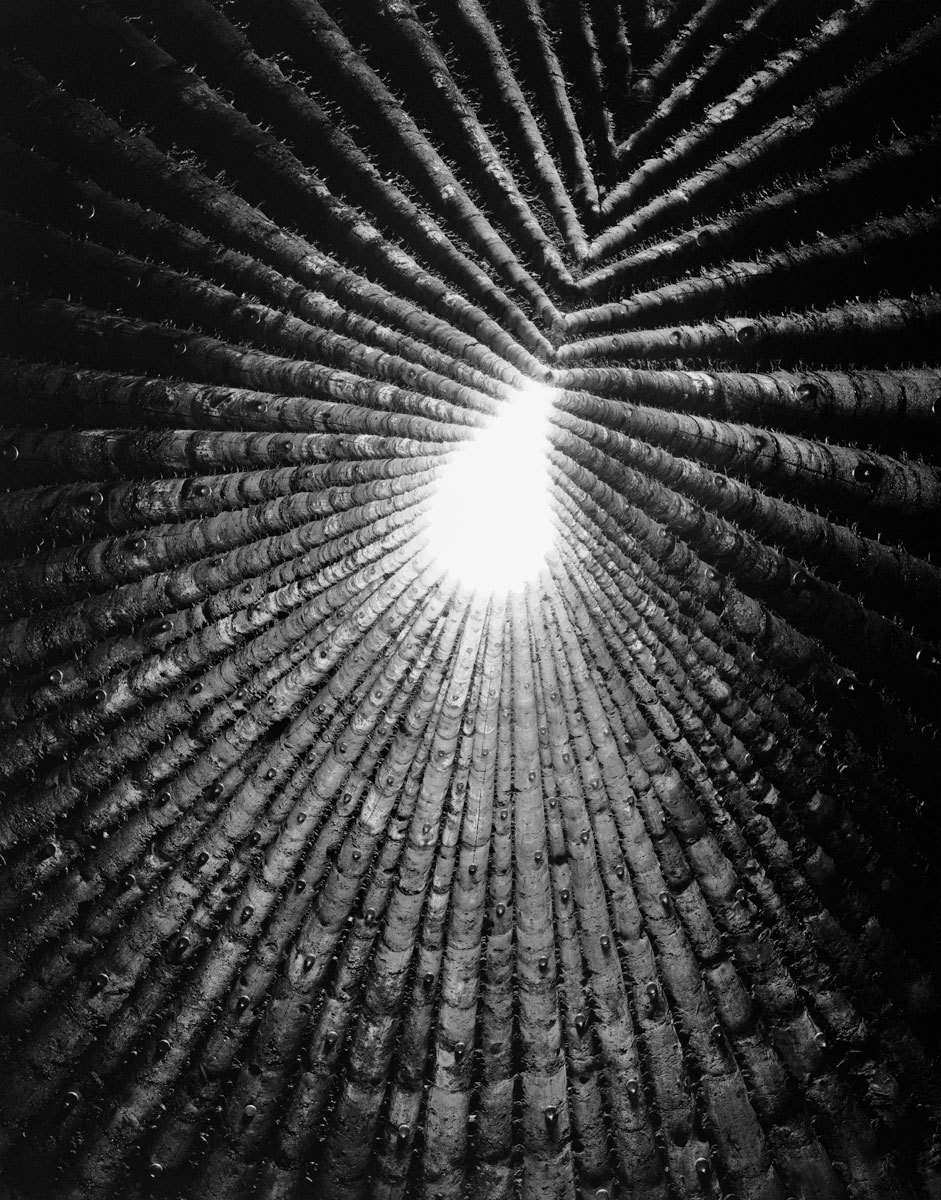 Atelier Peter Zumthor, Bruder Klaus Field Chapel, Wachendorf, Germany, 2009..jpg