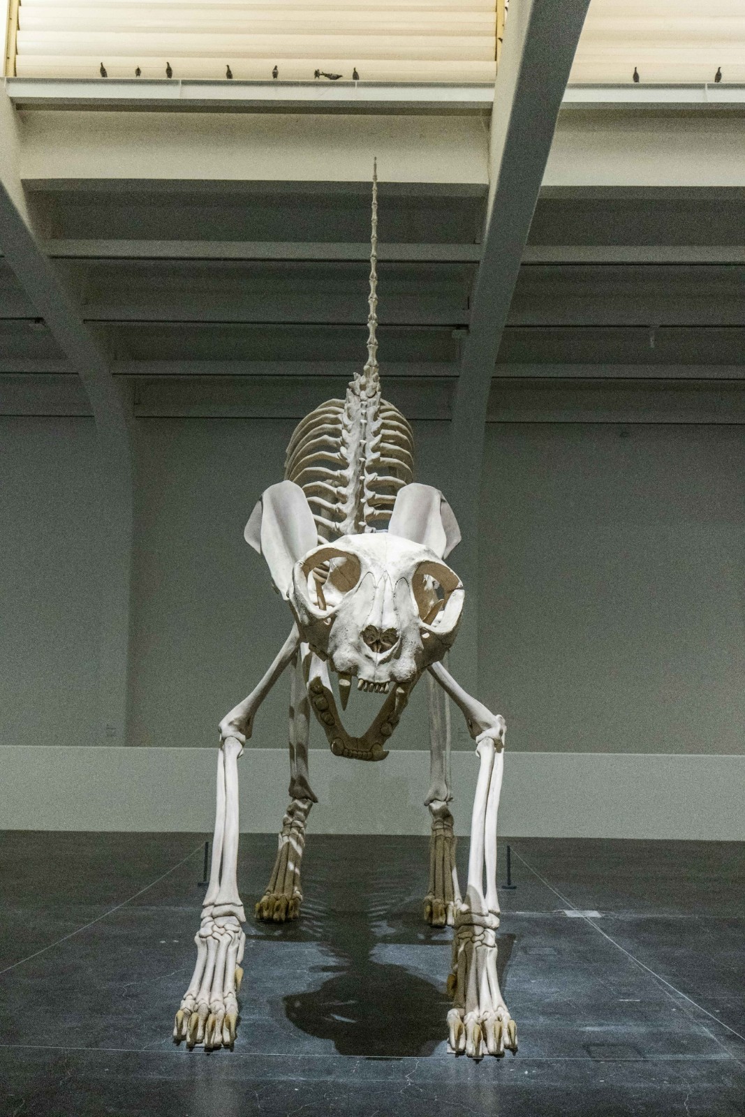 01 Maurizio Cattelan, Felix, 2001.jpg