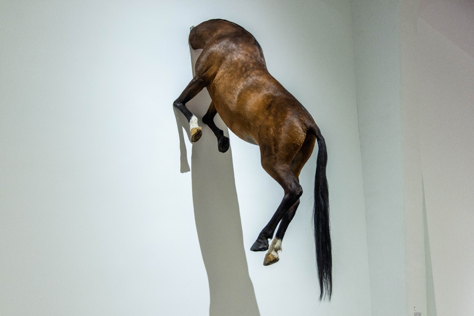 06 Maurizio Cattelan, Untitled, 2007.jpg