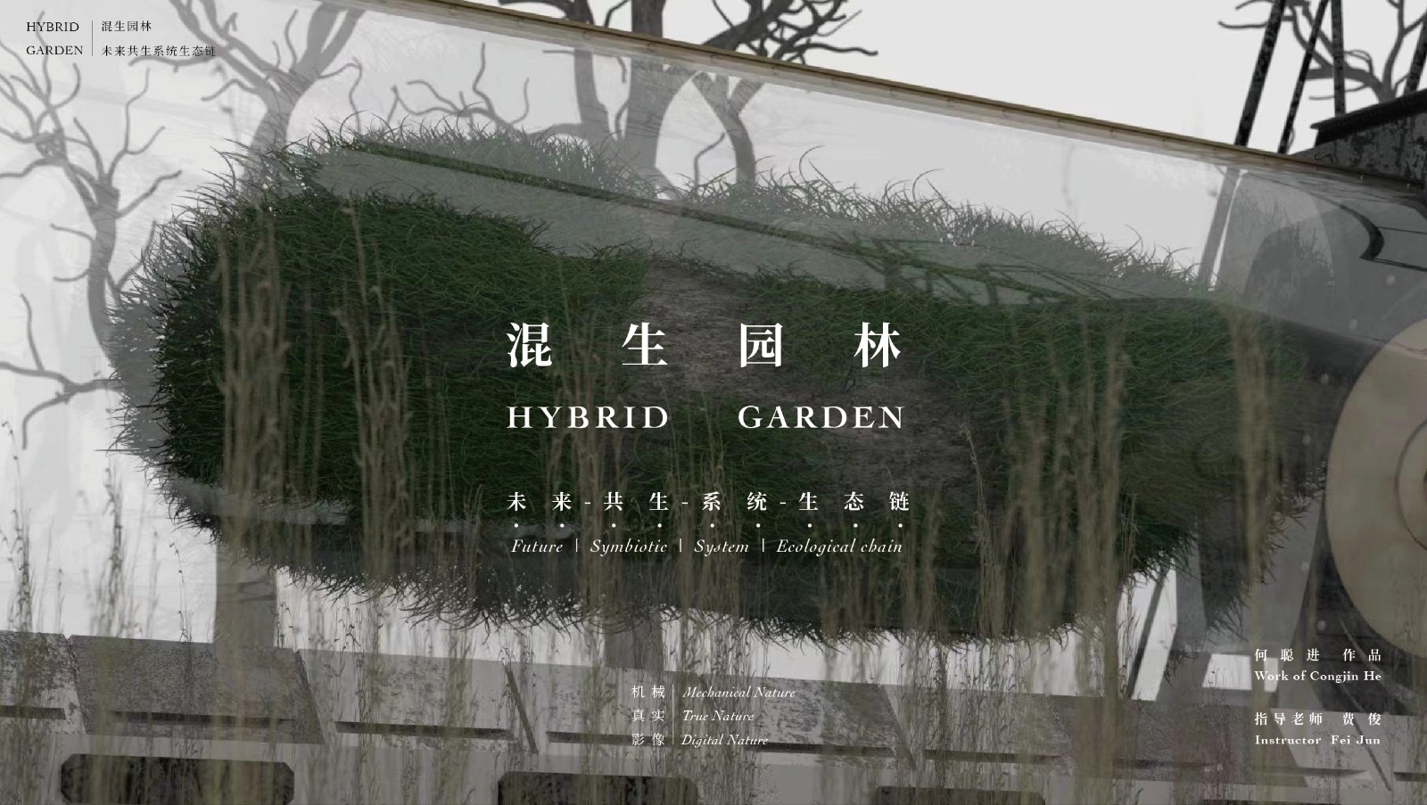 1《混生园林》Hybrid Garden 影像装置 2022.jpg