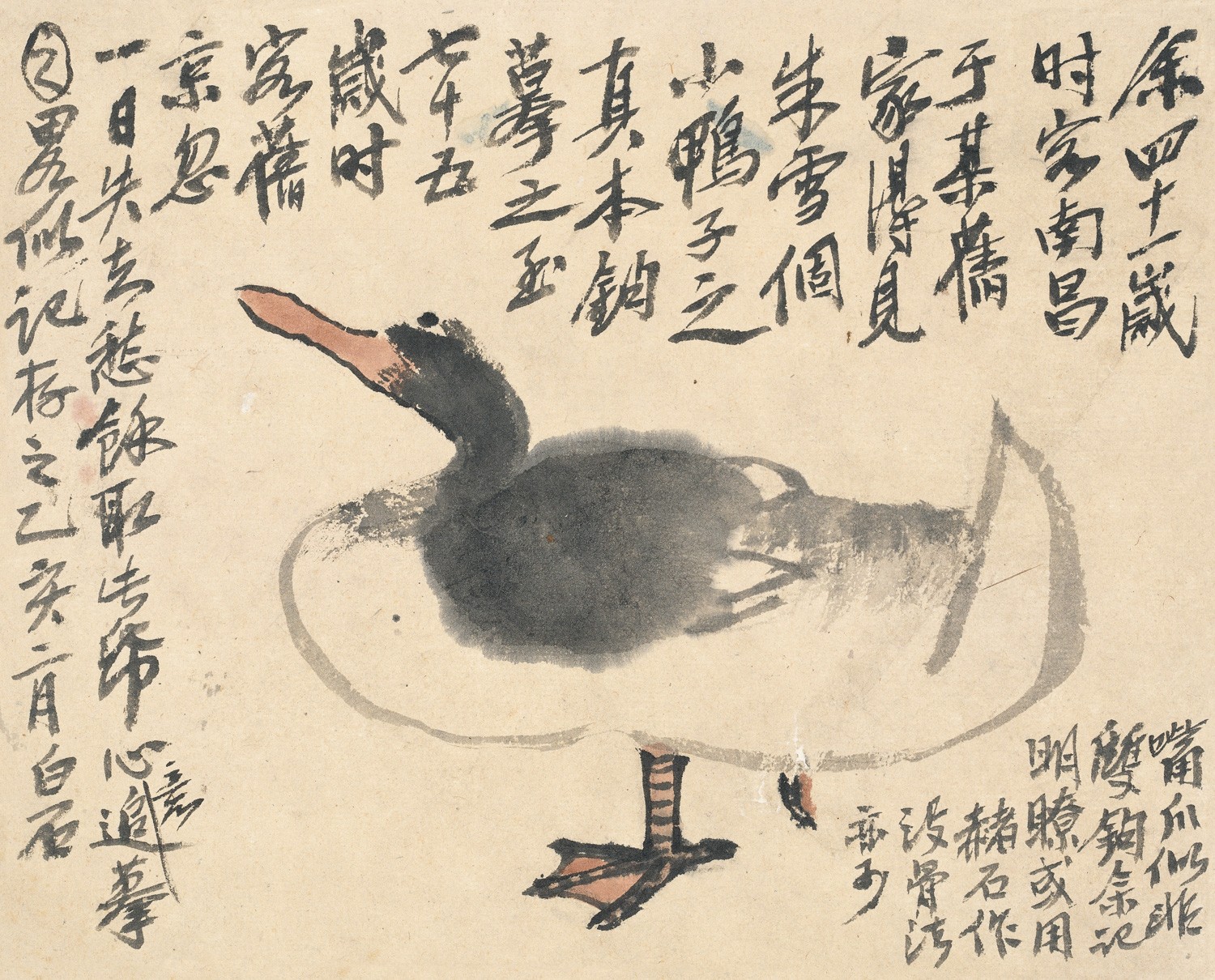 追摹八大山人鸭图 齐白石 25cm×31cm 纸本设色 1935年 北京画院藏.jpg