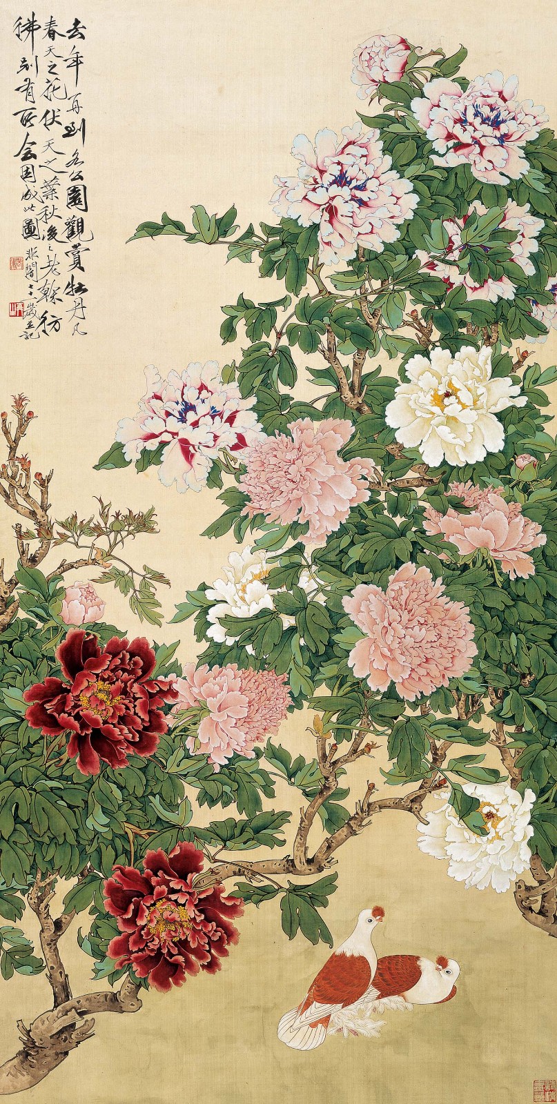 牡丹双鸽图 于非闇 162cm×81.5cm 纸本设色 1959年 北京画院藏.jpg