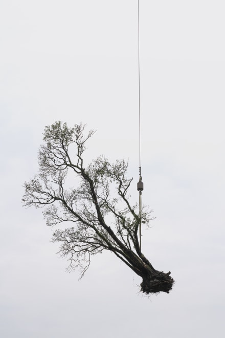 ©️ Zhang Kechun.jpeg