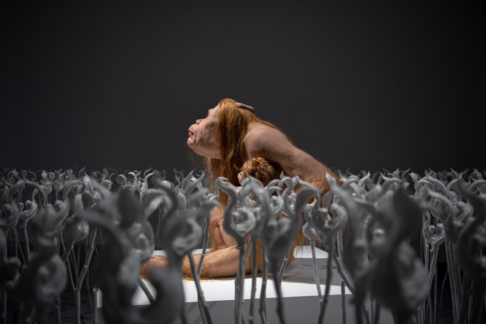 19 Patricia Piccinini BATB_Kindred Photo by Jinlong Liu 3.jpg