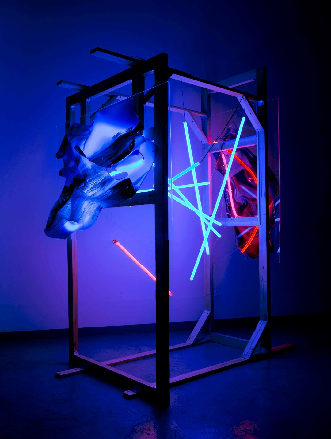 18 Li Jiwei, “Gene Series”, Acrylic, acrylic color, wooden frame, lighting, 225×151×265cm, 2021-2022.jpg