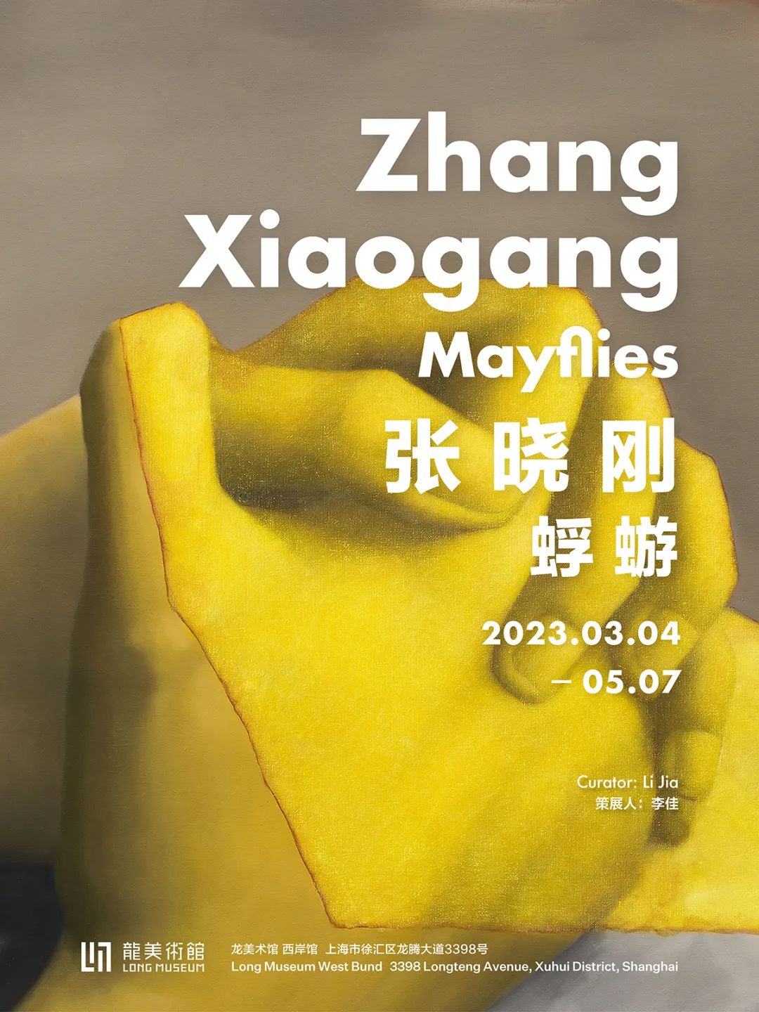 Poster of Zhang Xiaogang Mayflies.jpg