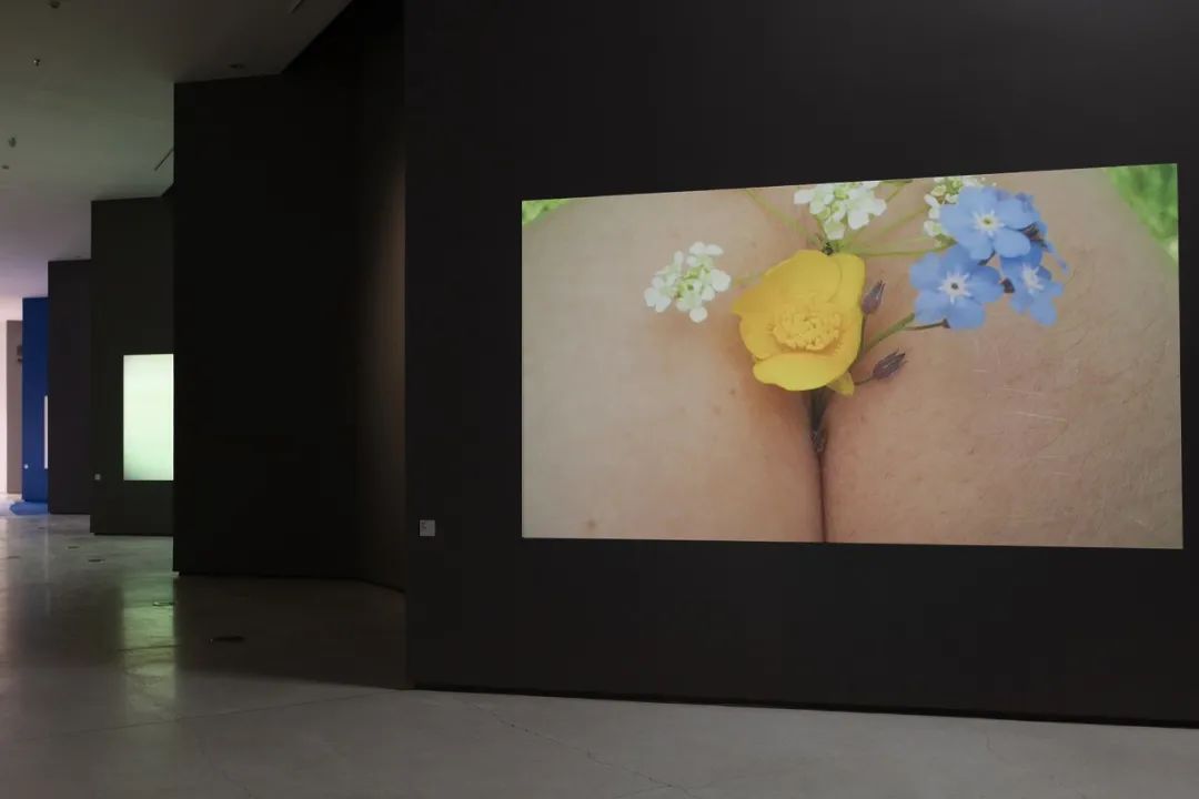 劳拉·普罗沃斯特（Laure Prouvost ）作品在红砖美术馆展览现场，2023.jpg