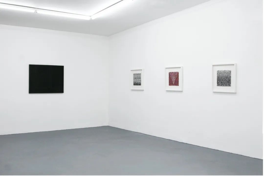 “Newcomer”  邵巍个展 展览现场 杜塞尔多夫，德国，2011.jpg