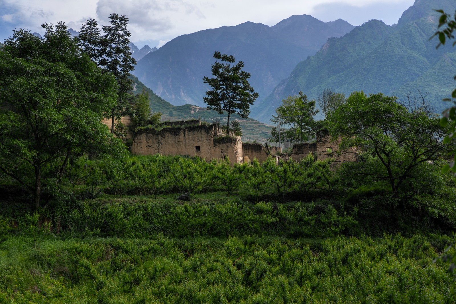 水系避难所#2：震后的传统夯土居民遗址，曹明浩、陈建军，2019，摄影.jpg