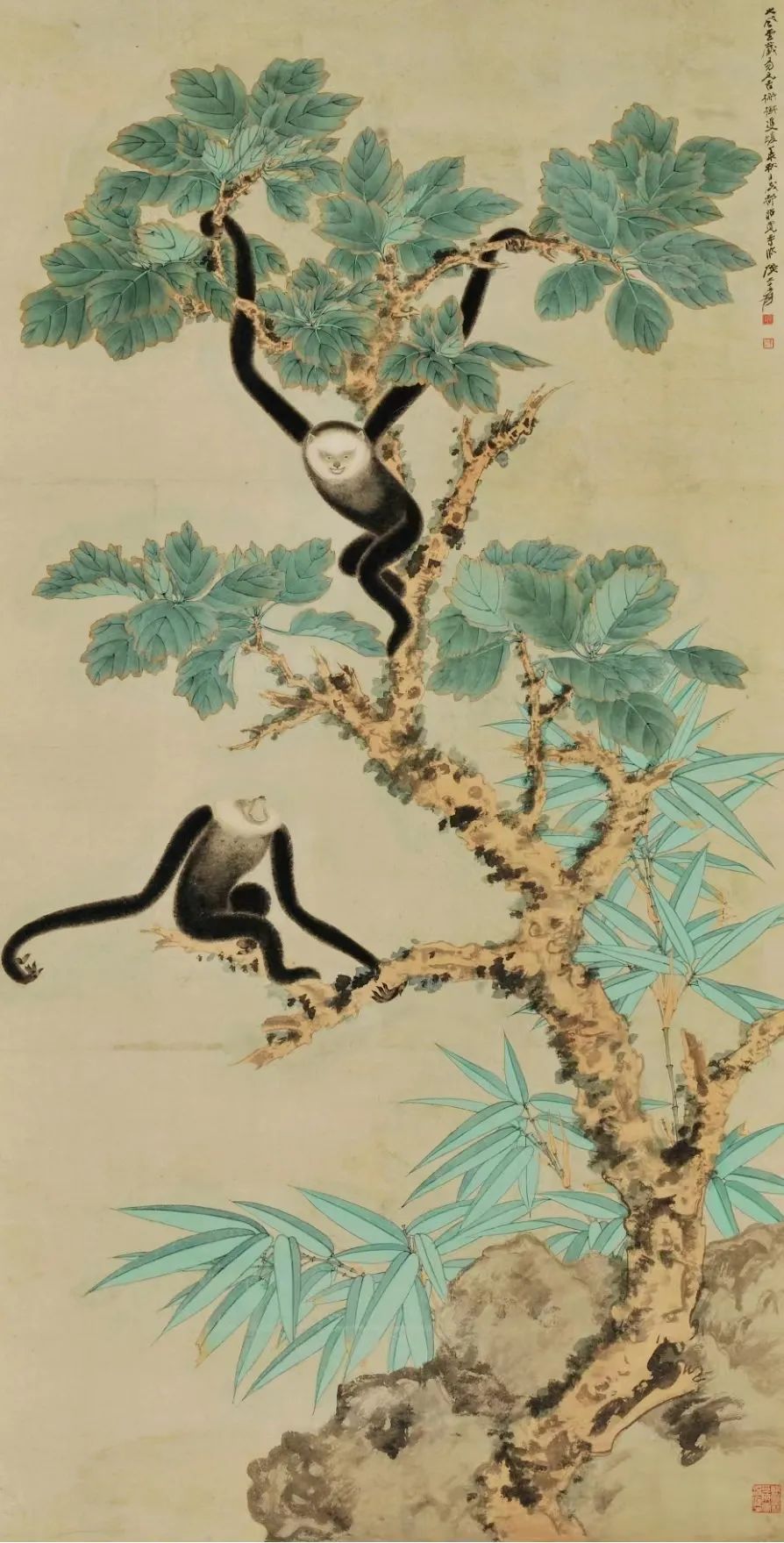 张大千，《檞树双猿》，275×107cm，纸本设色，20世纪，中央美术学院美术馆藏.jpg