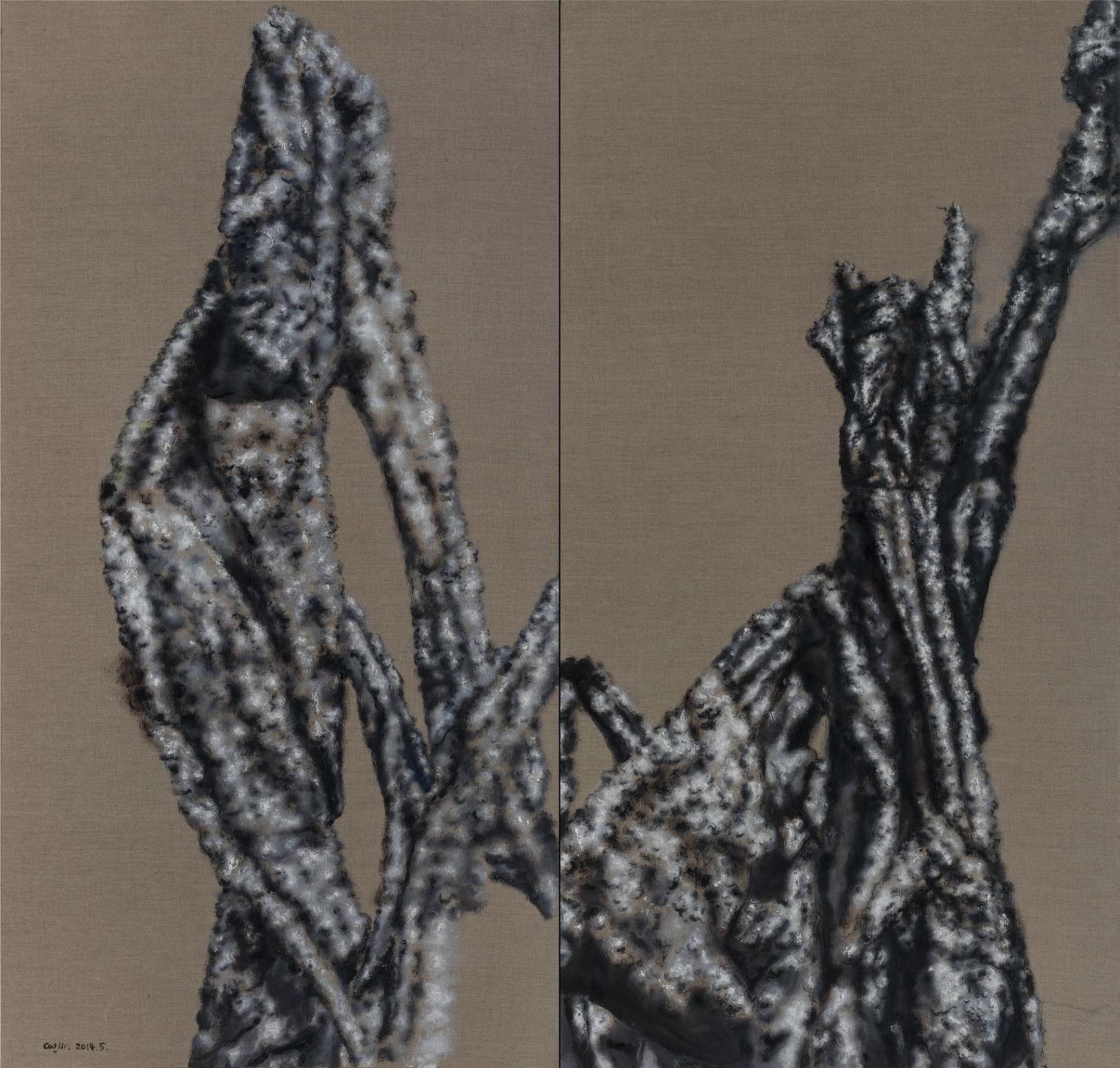 蔡锦 《美人蕉353.354》综合材料，210×220cm，2014年.jpg