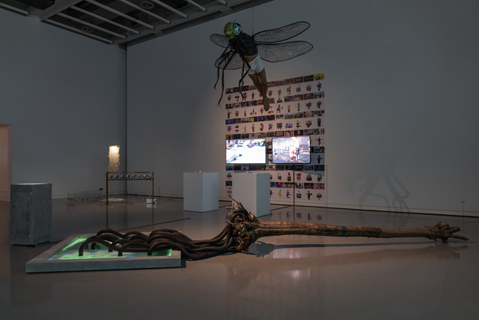 04 Exhibition View, Photo by Jiang Liuliu, Courtesy of the Artist and BY ART MATTERS.jpg