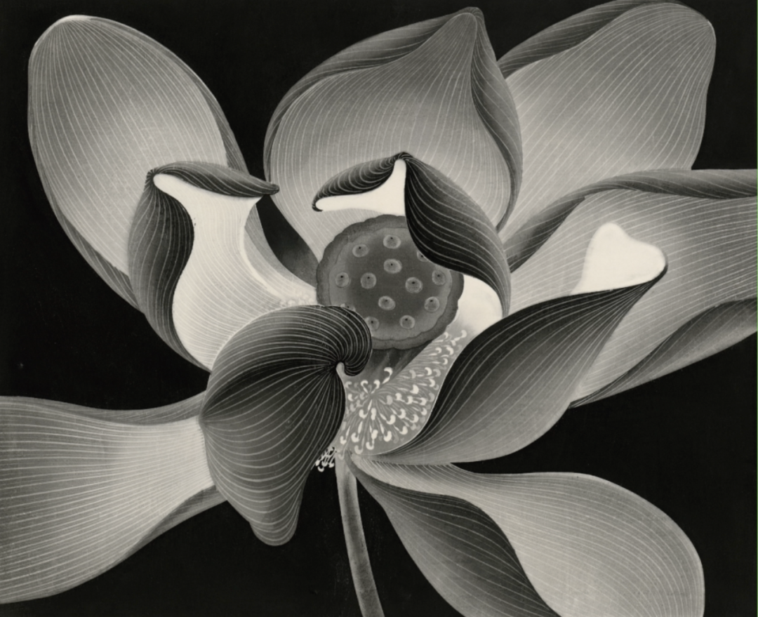 陈琦，《荷》，水印版画，52x63cm，1994.png