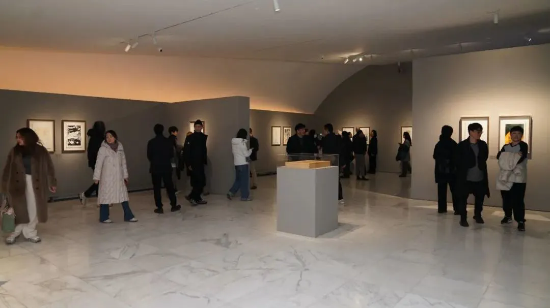 11 Exhibition View.png