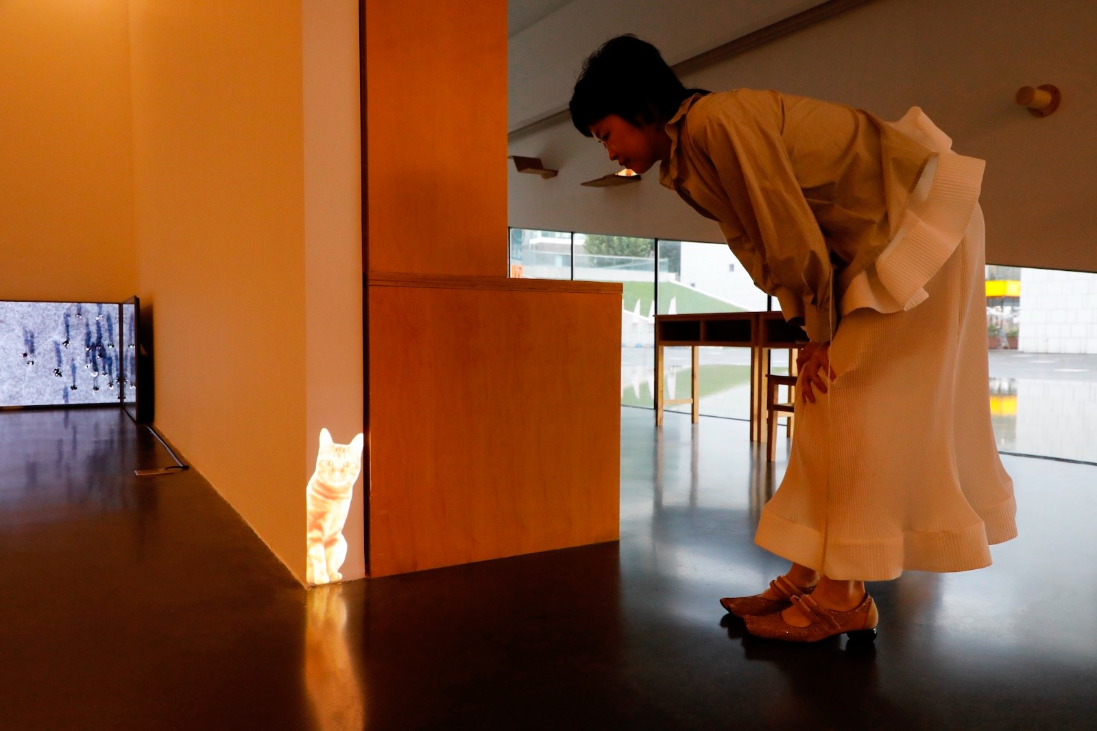 23 Visitors may inadvertently discover a cat image through projection devices.jpg