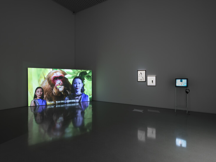 16 Installation View.jpg